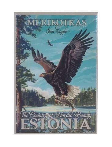 Plekist magnet kotkas